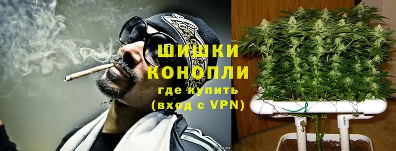 Бошки Шишки THC 21%  цены   shop Telegram  Когалым 